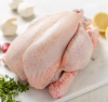 Frozen Chicken for Foo...