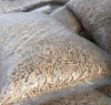 Compressed Wood Pellet...