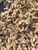 Dehydrated Vegetable D...