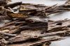 Agarwood chips Nagalan...