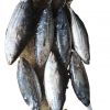 Frozen Tuna Fish Premi...
