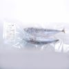 Frozen Tuna Fish Wild ...