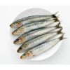 Premium Ocean Harvest ...