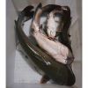 Frozen Cat Fish Premiu...