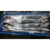 Frozen Ribbon Fish Fea...