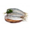 Frozen Tuna Fish Selec...