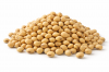 soybean seed