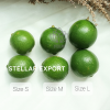 Vietnam Seedless Lime ...