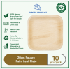 Areca Palm Leaf Plate