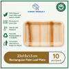 PALM LEAF PLATES