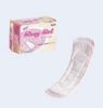 Feminine Napkin Conver...