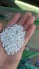 Safflower seeds