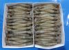 Frozen Vannamei Shrimp...