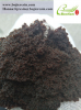 Black Strong Acid Cati...