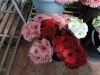 Fresh Cut Gerbera Flowers