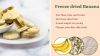 freeze dried fruits fr...