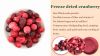 freeze dried fruits fr...
