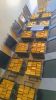 Gold Dore Bars