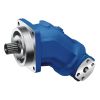 Premium Rexroth A2FO &...