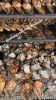 Smoked Catfish
