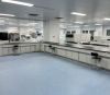 Adjustable Lab Stool C...