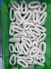 frozen squid tubes and...