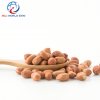 Groundnut Seeds