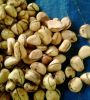 Kola Nut (Kola Nitida)