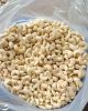 Cashew Nut Kernel W320...