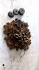 Used Tungsten Carbide ...