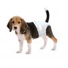 Lechen Sanitary Dog Di...