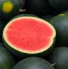 FRESHSEEDLESS WATERMELONS