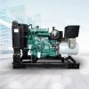 Diesel generator 50-50...