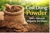 Cow Dung Powder, Cow D...