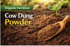 Cow Dung Powder, Cow D...