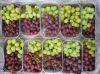 fresh sweet delicious ...