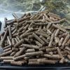 Quality Pine Biomass W...