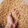 Eco Friendly Biomass W...