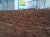 Cocopeat