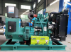 Diesel generator set f...