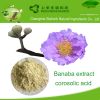 Factory supply Corosolic acid, banaba leaf extract, lose weight