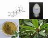 Factory supply Corosolic acid, banaba leaf extract, lose weight