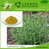 Factory supply Rosmarinic acid,Rosemary extract,Preservative