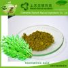 Factory supply Rosmarinic acid,Rosemary extract,Preservative