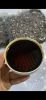 Vanilla Extract