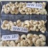 Processed Cashew Nuts ...
