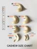 Processed Cashew Nuts ...