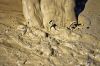 API Bentonite for Dril...