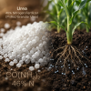 Urea 46 Nitrogen Ferti...
