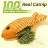 Catnip Fish Toy